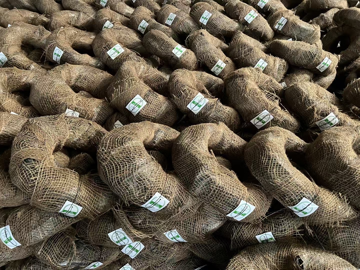 Loading of 1.5mm black annealed wire 25kg per roll