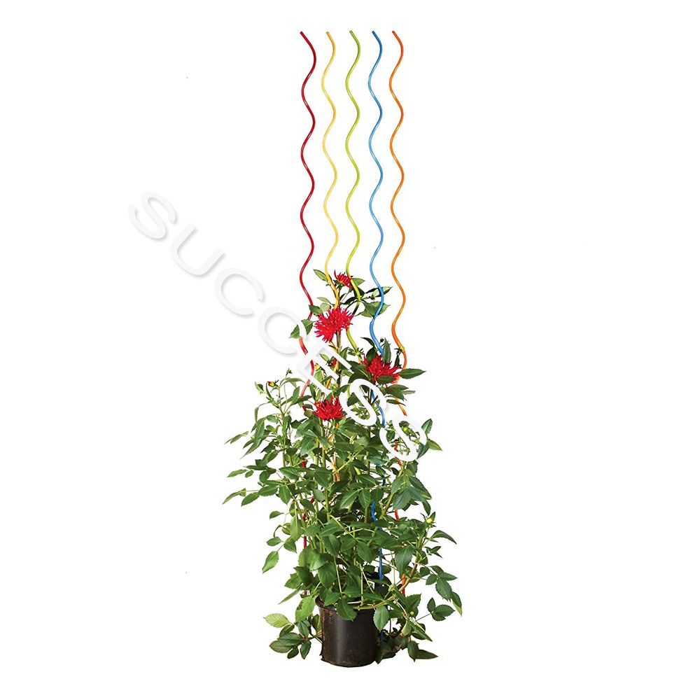 Garden Plant Support Tomato Spiral Stakes