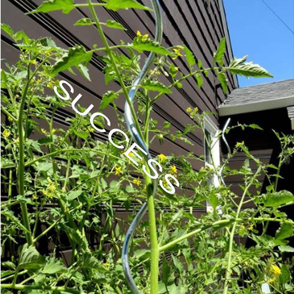 Garden Plant Support Tomato Spiral Stakes