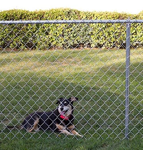 chain link fence