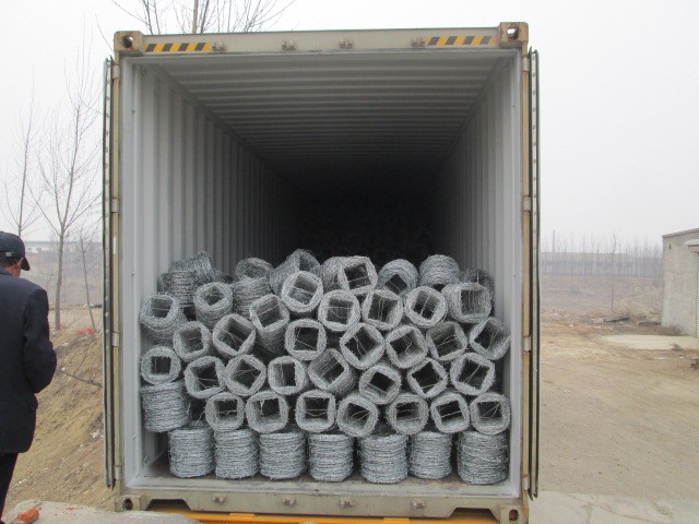 2mm thickness 125mm distance galvanized wire twisted barbed wire